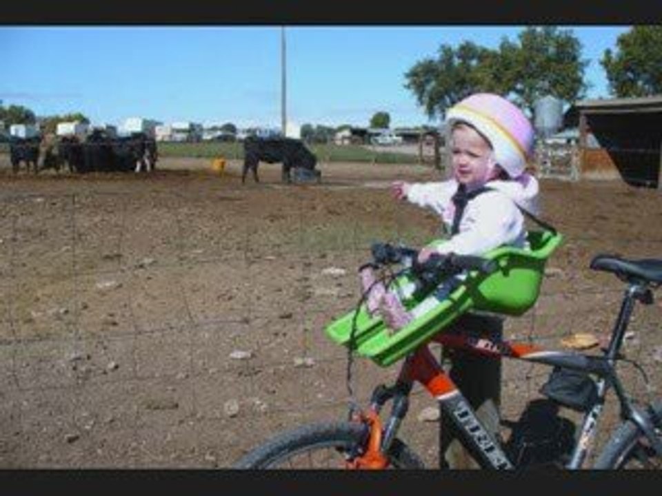 iBert Toddler/kids/child Front Bike Seat