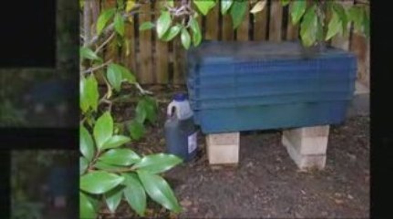 Find Out About Worm Bins