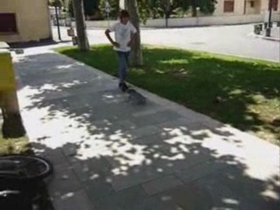 skate video project.2