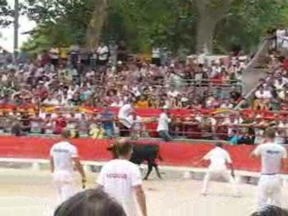 Palme d-Or BEAUCAIRE 2009  ( 2 belles envolées...)