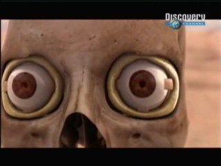 Movimientos oculares sacadicos