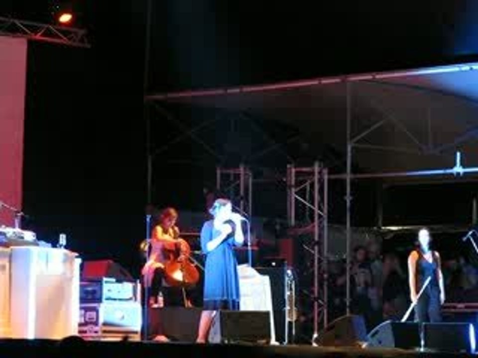 Wax Tailor @ Rock En Seine | 28.08.08 - Our dance