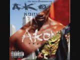 Akon the song (right now na na na)
