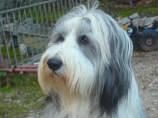 Toutounette elle est trop chouette ...