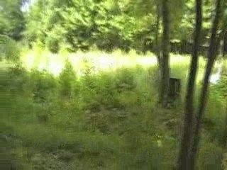 GIMA50 VS ATP VS LE COS A LA MEAUFFE