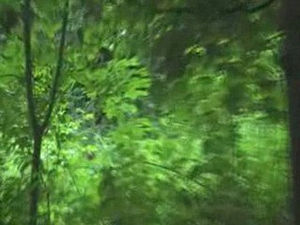 GIMA50 VS ATP VS LE COS A LA MEAUFFE