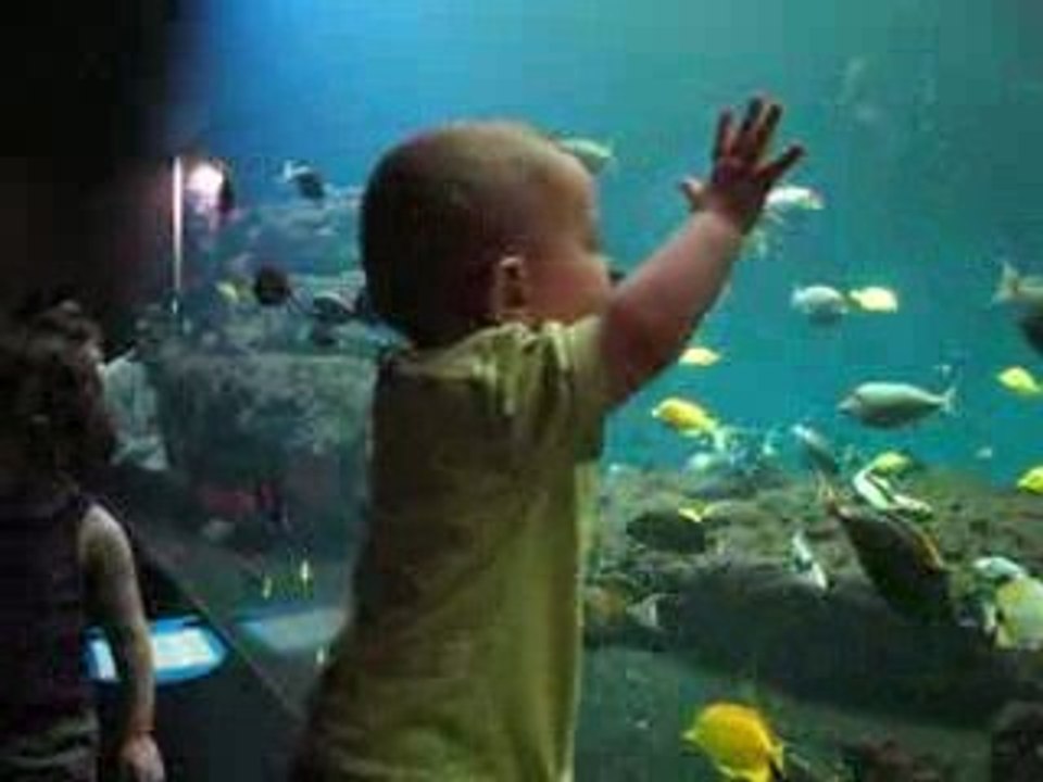 Matthieu à l'aquarium