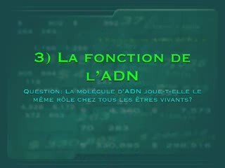 Introduction Cours ADN partie 1
