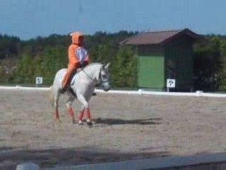 Rlm Lamotte 2009