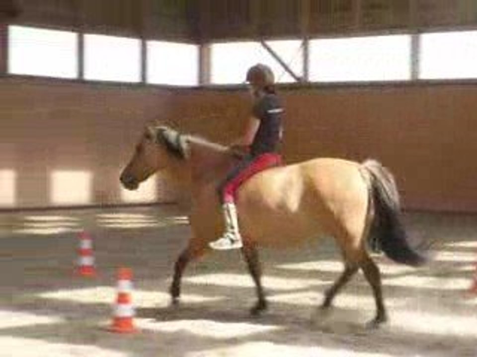 mardi 7 juillet 2009