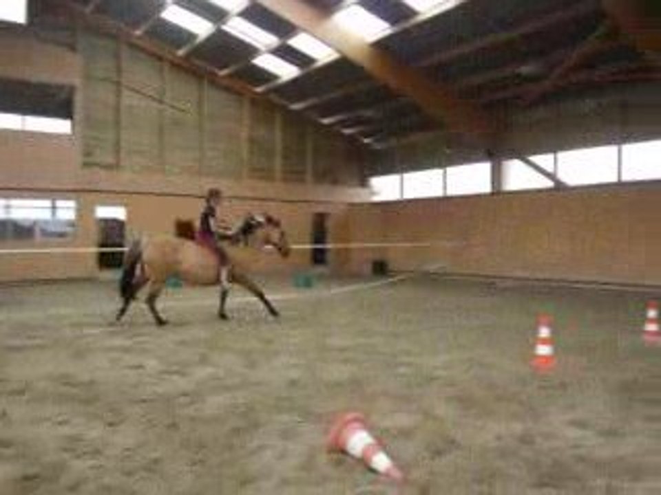 mardi 7juillet 2009 ( galop )