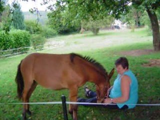 Vous comprendrez pourquoi Kiwi aime tant sa MULANE !!!