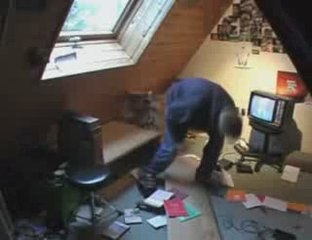 pétage de plomb de monsieux roux