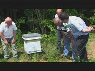 Jachères apicoles dans l'Aube