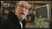 Cannabis Activism - VV Teaser 8