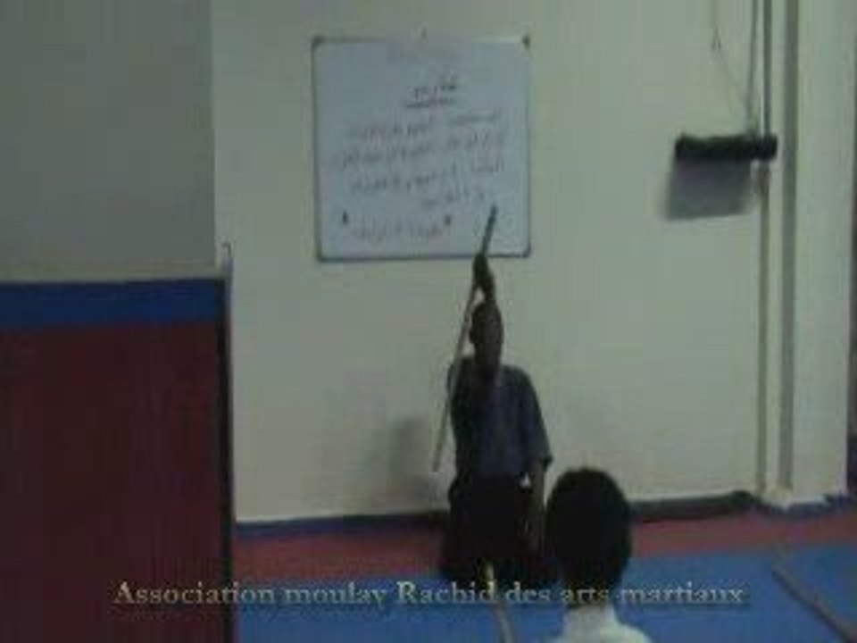 Aikido mihil part - 7