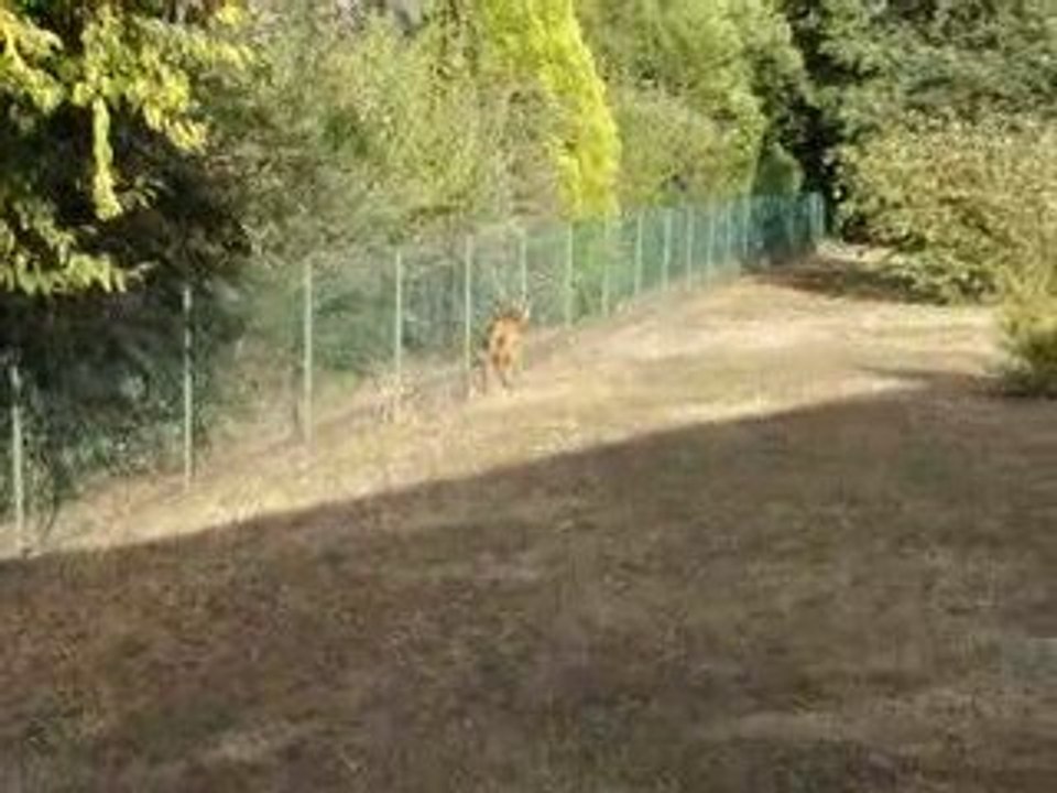 squattage de jardin