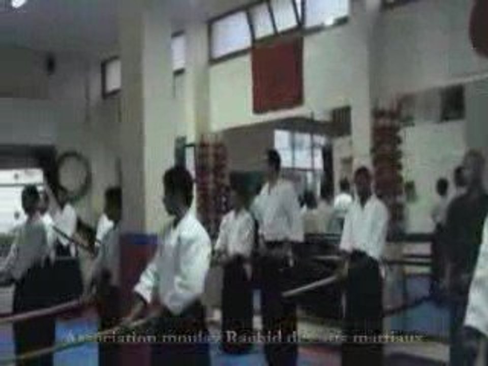 Aikido mihil part - 8