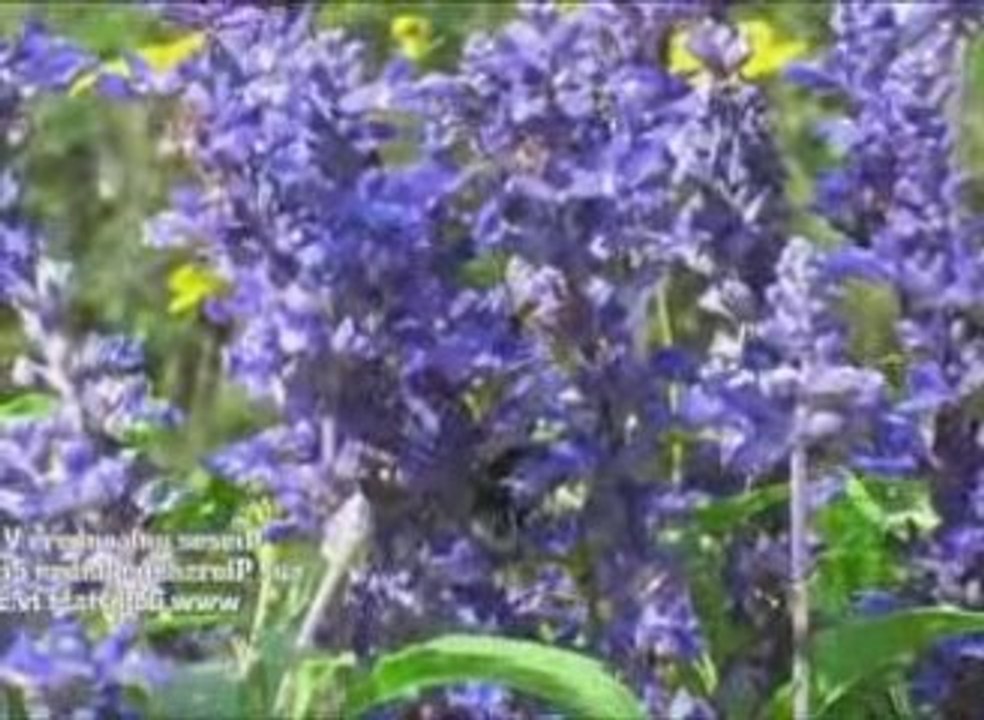 Die neue Jörg-Ratgeb-Str