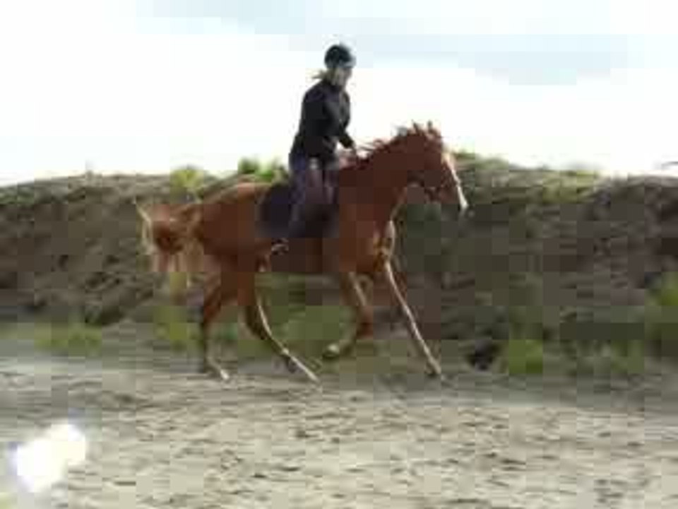 Départ au galop du pas !