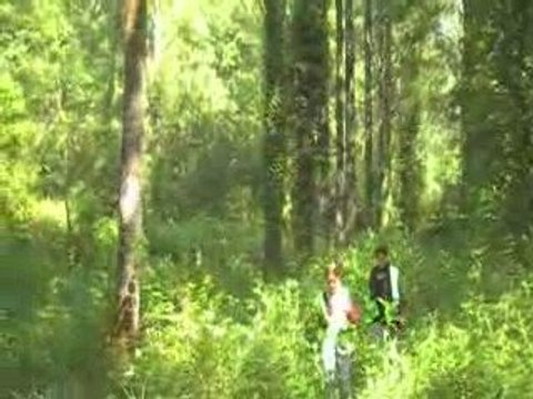 airsoft G.I.M.A party du dimanche 31 mai 2009