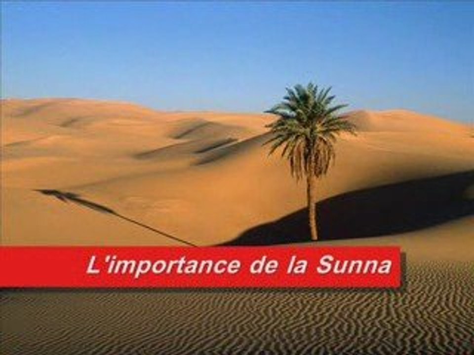 Importance de la Sounna (Suivi Prophètique) !!!