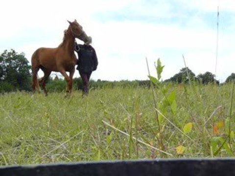 Début de pas espagnol