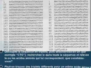 Du génotype au phénotype partie 4