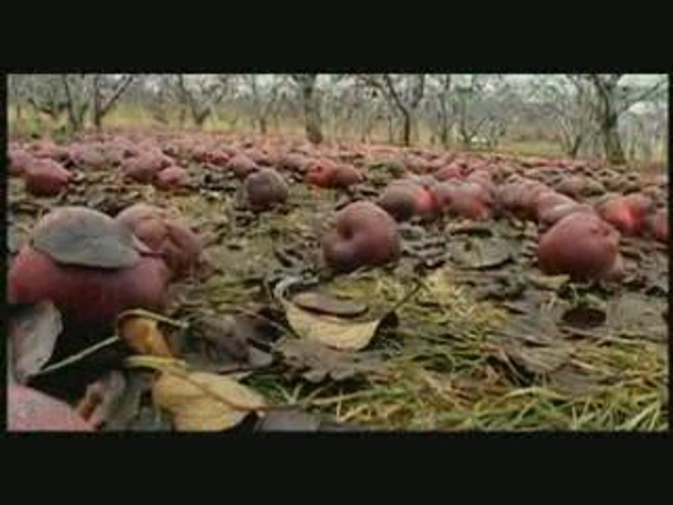 Agriculture - VV Teaser 23