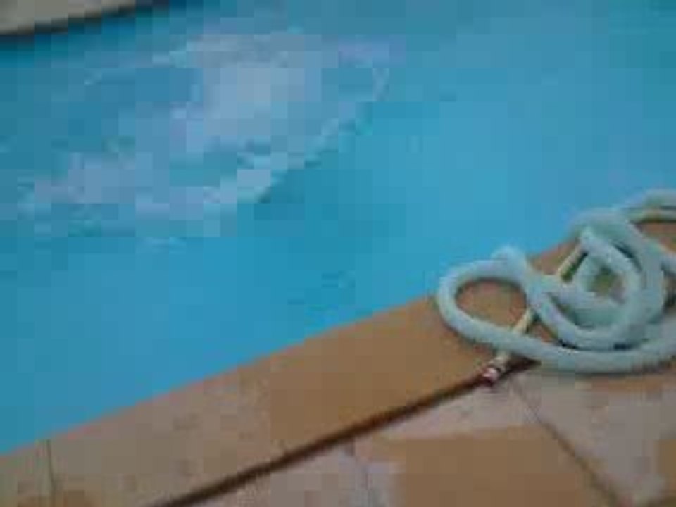 salto greg dans la piscine