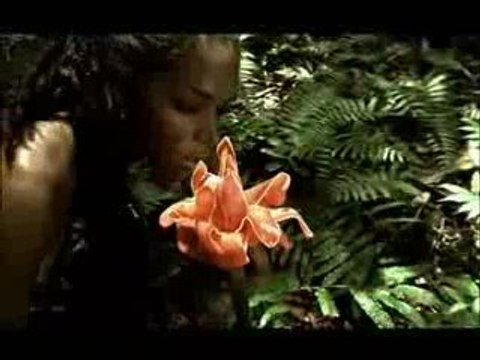 David Bisbal Oye El Boom