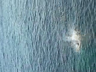 SAUT D'ALEX DU PILIER