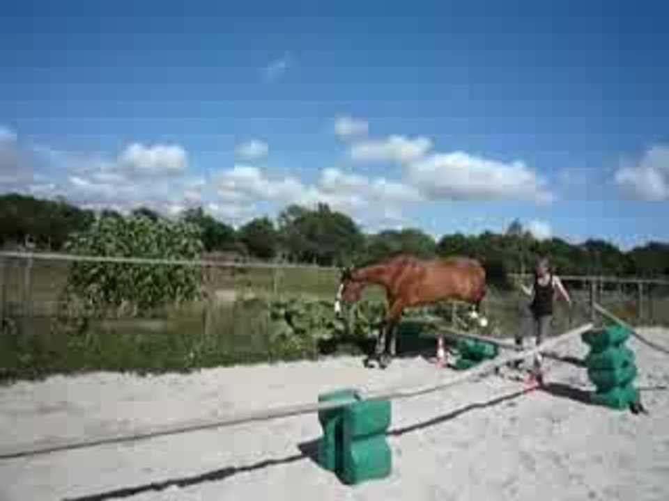 saut en liberté de loulou