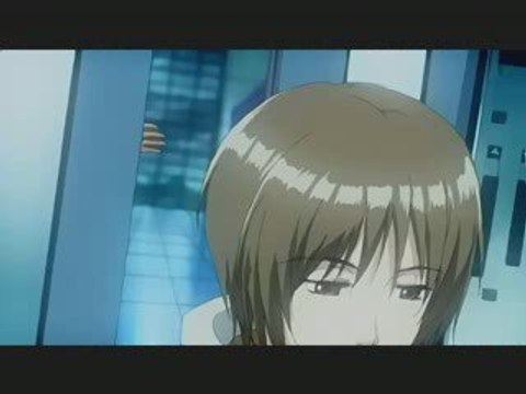 bittersweet clover amv sur Honey & clover