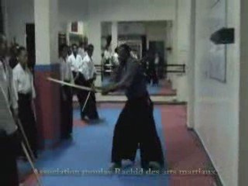 Aikido mihil part - 12