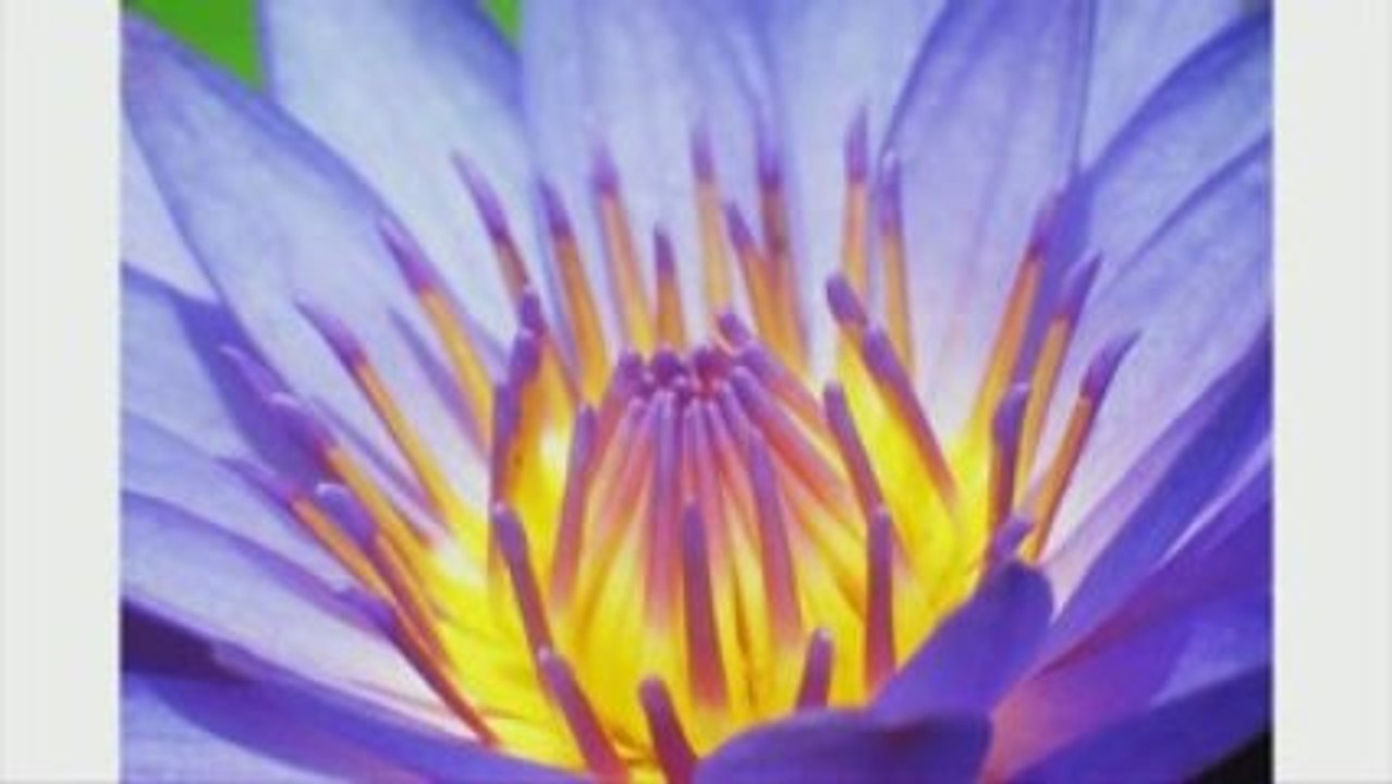 FayBphoto.com book 2009/2010