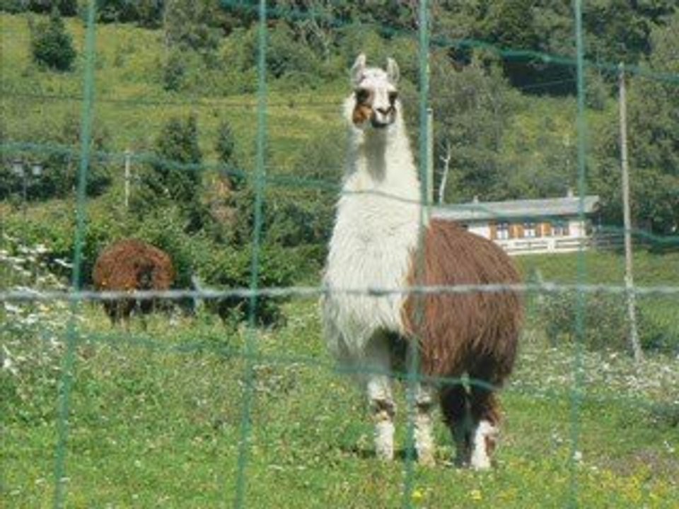 Anniversaire de Catherine, week end du 25-26 juillet 2009