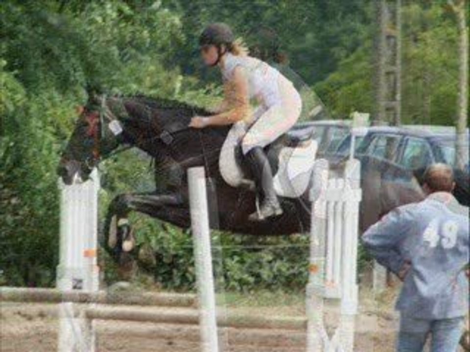 Lamotte 2009 kim