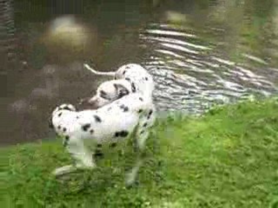Kiss et Angie dans l'eau