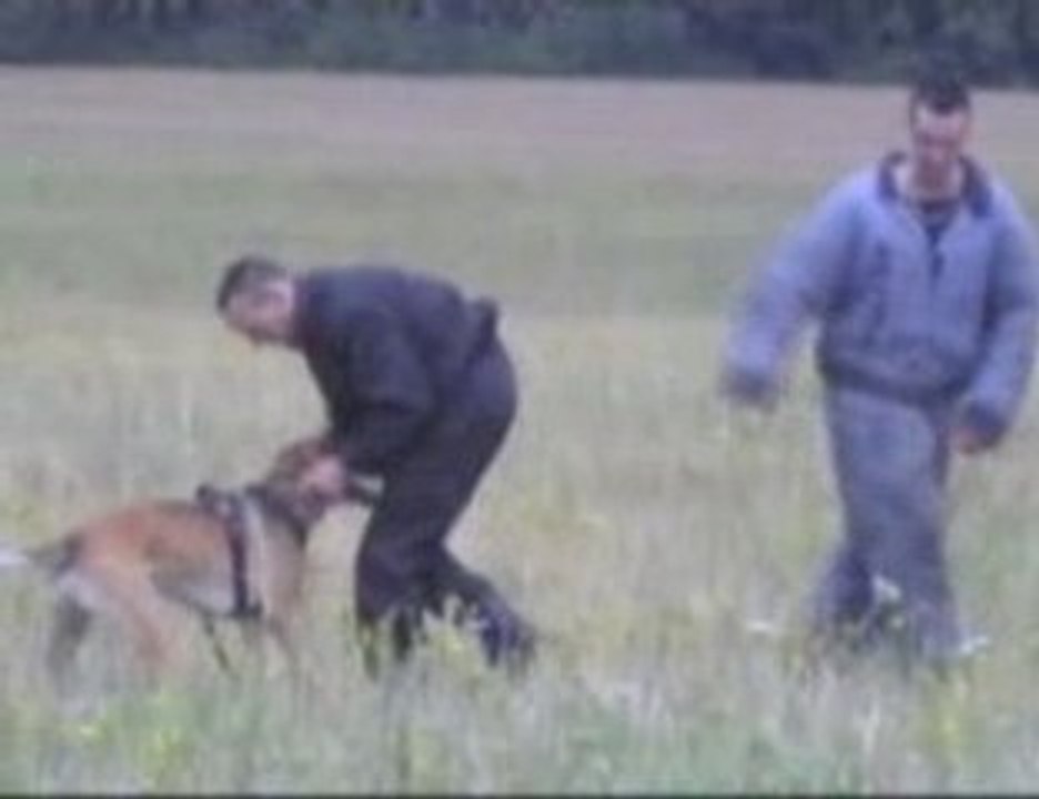 Toutous Fous 2 jeudi 23 juillet 2009