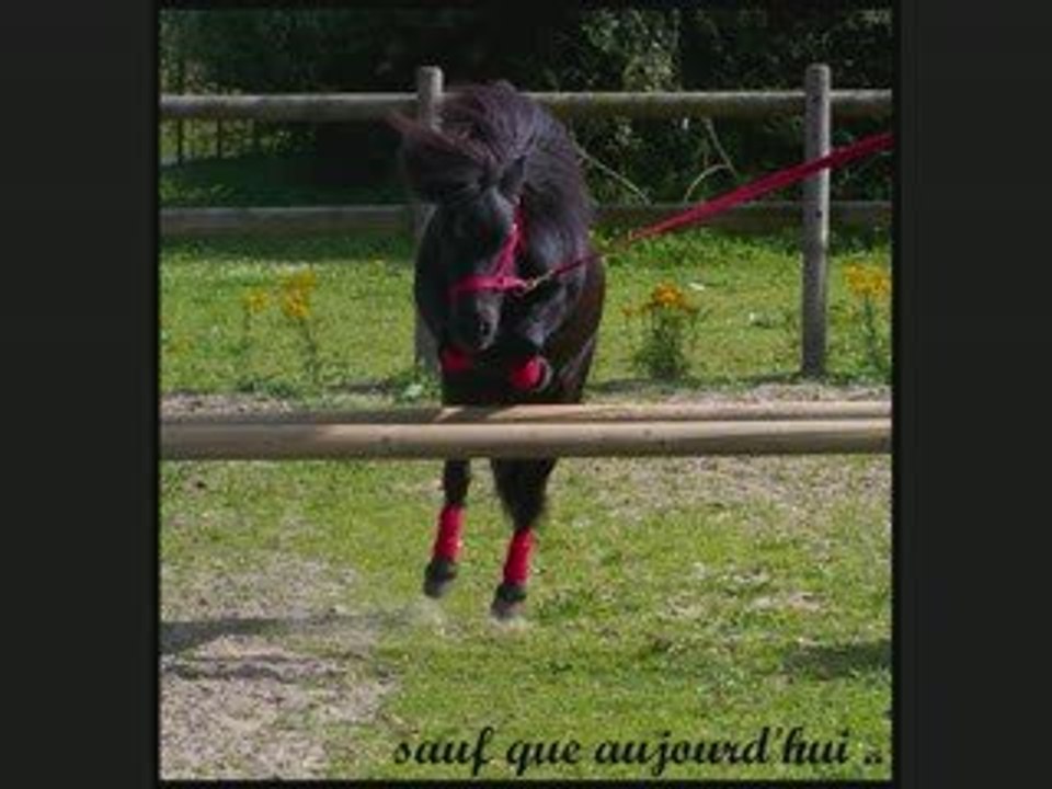 Première rencontre entre Julie et Piccolo