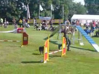 European Open Agility Hollande