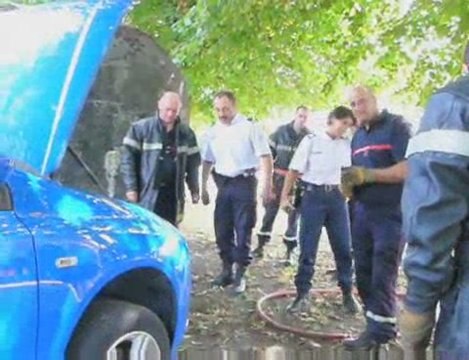 Condé-sur-l'Escaut : capture d'un serpent