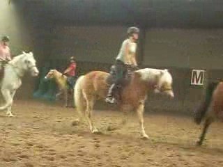 Reprise a cheval