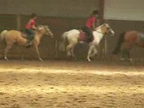 reprise equitation lecon