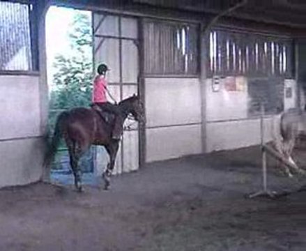 Cours particulier-OBSTACLES