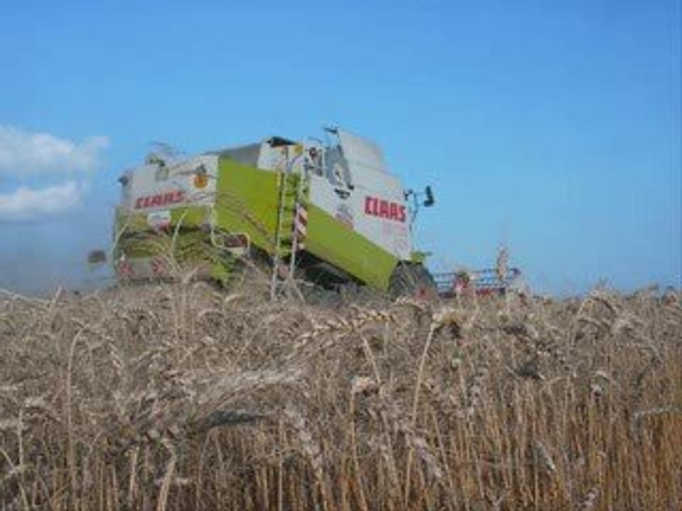 moisson de blé 2009