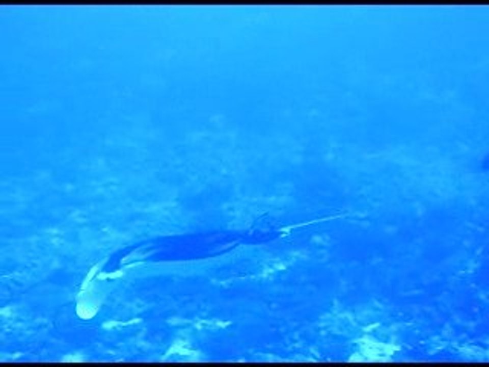 Et une deuxième tout aussi belle !!!