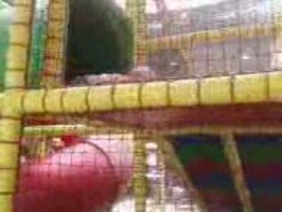 Vidéo0002