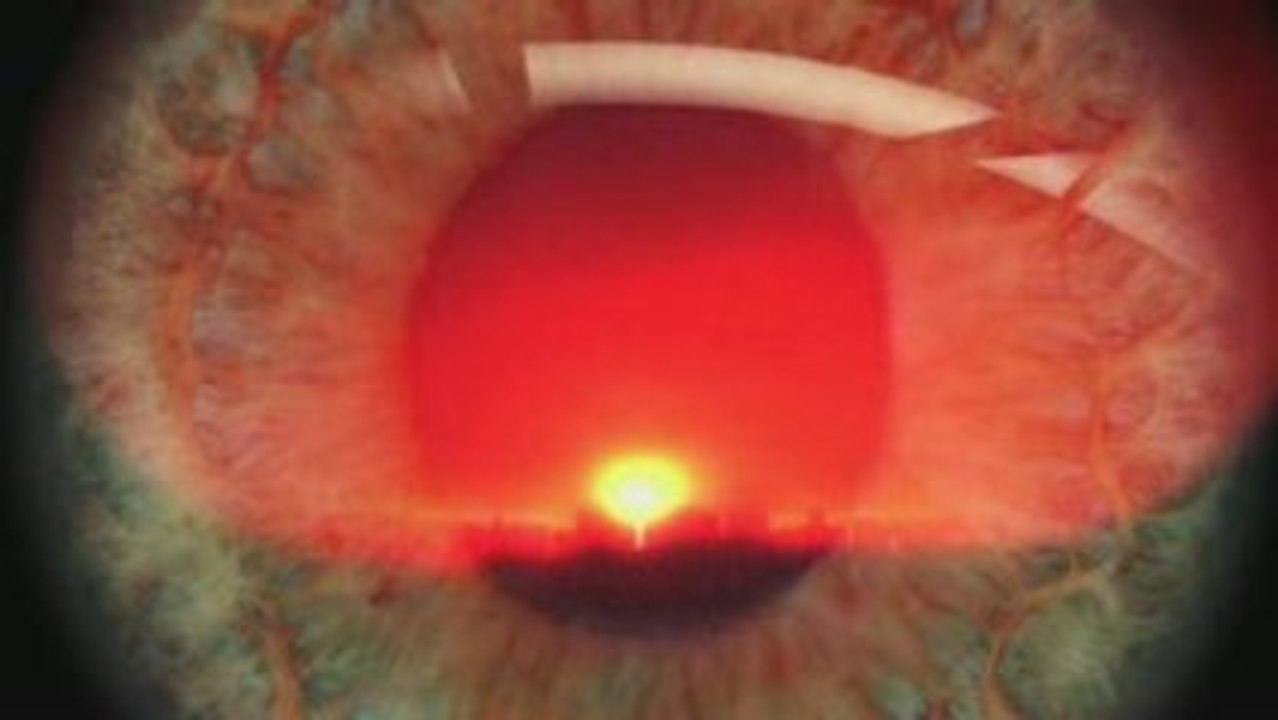 F.E.A.R. 2: Reborn Teaser Trailer